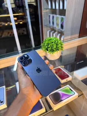 Apple iPhone 15 Pro Max 256GB (Used)