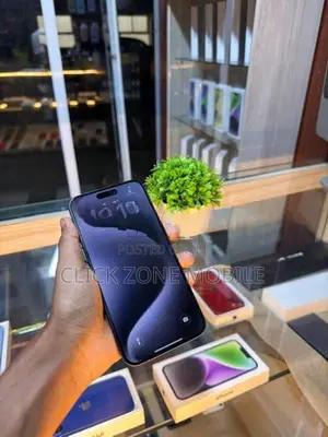 Apple iPhone 15 Pro Max 256GB (Used)