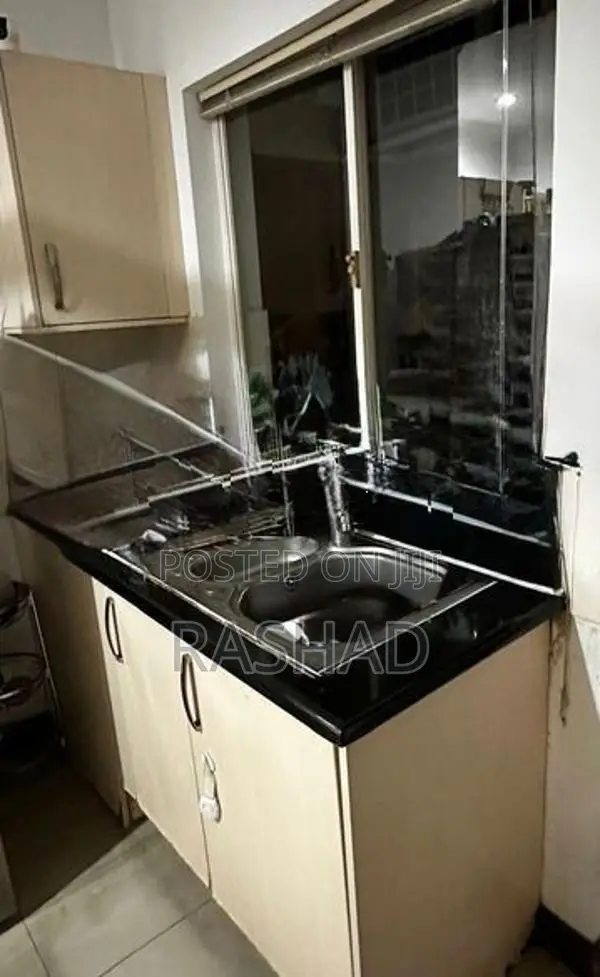 Granite Top Pantry Cupboards