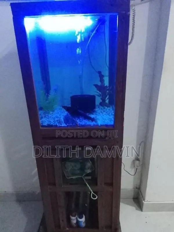 Fish Tank