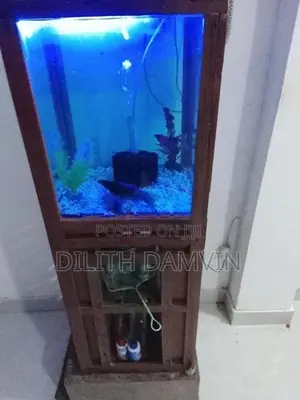 Fish Tank
