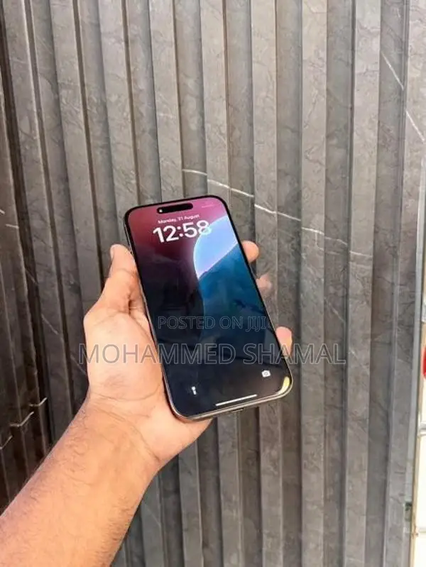 Apple iPhone 16 Pro Max 256GB (Used)