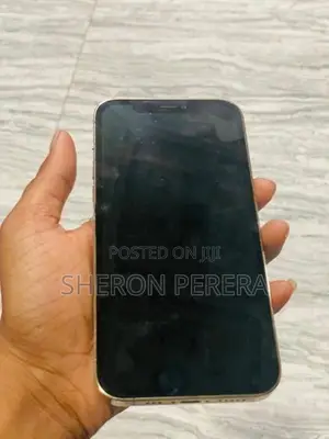 Apple iPhone 12 Pro (Used)