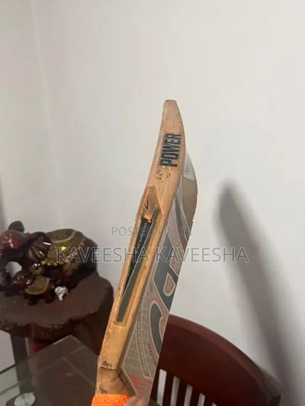 CA Cricket Bat