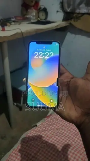 Apple iPhone X (Used)