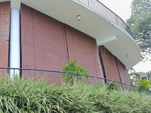 Bamboo Blinds (බට පැලලි)
