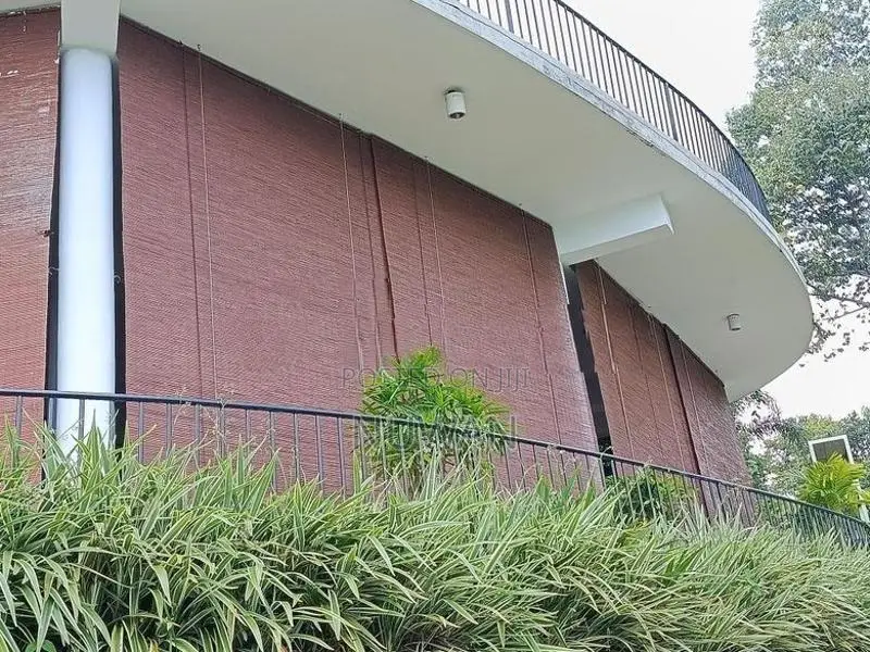Bamboo Blinds (බට පැලලි)