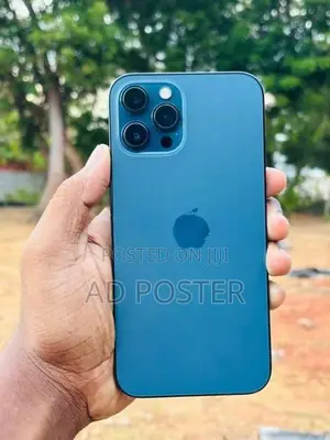 Apple iPhone 12 Pro Max 256GB (Used)
