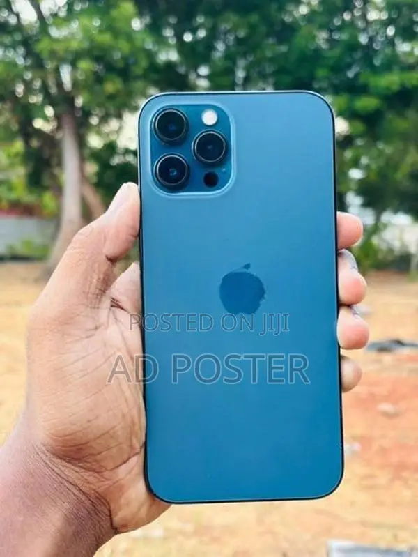 Apple iPhone 12 Pro Max 256GB (Used)
