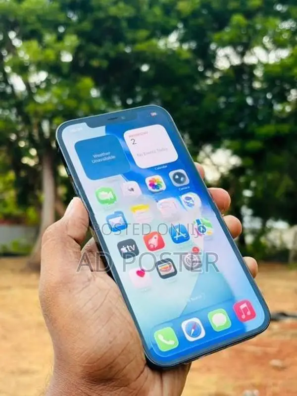 Apple iPhone 12 Pro Max 256GB (Used)