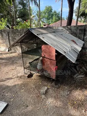 இரும்பு கோழி கூடு 2 தட்டு