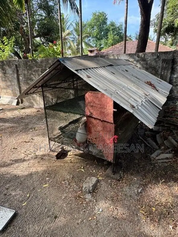 இரும்பு கோழி கூடு 2 தட்டு
