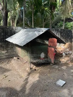 இரும்பு கோழி கூடு 2 தட்டு