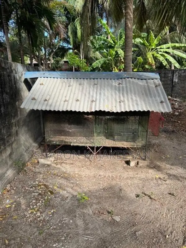 இரும்பு கோழி கூடு 2 தட்டு