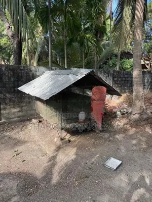 இரும்பு கோழி கூடு 2 தட்டு