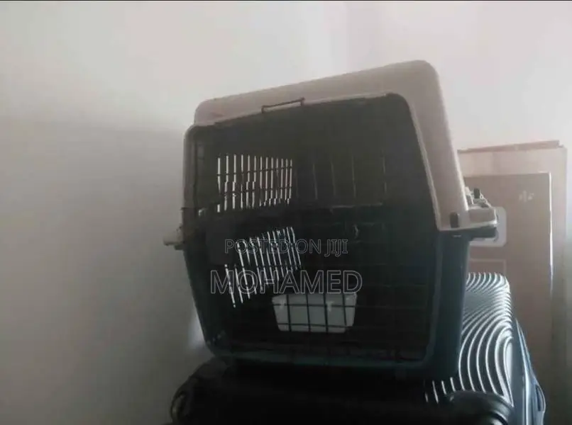 Aviation Approved Cat Carrier XXL Size