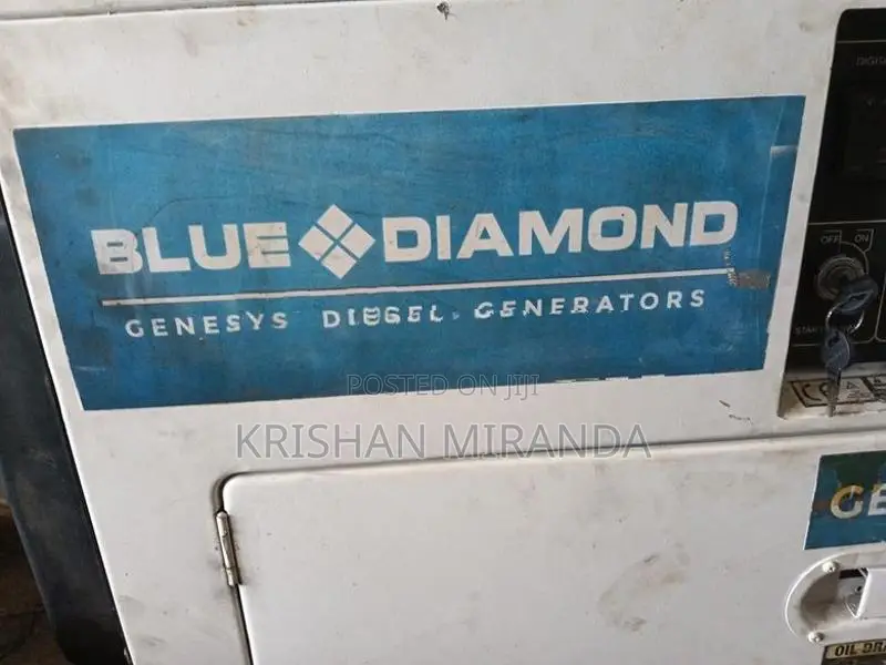 Blue Diamond Diesel Generators