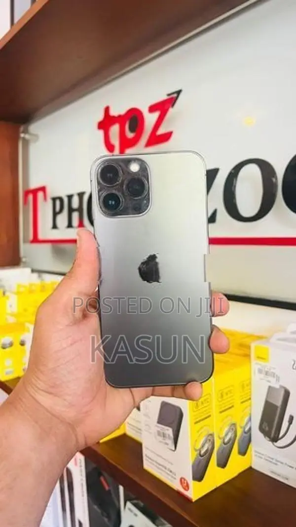 Apple iPhone 13 Pro Max (Used)