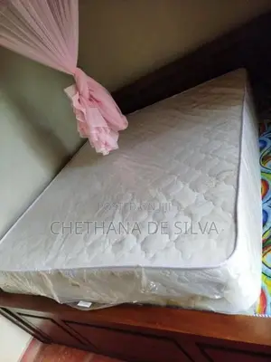 Spring Pal 10" Queen Size Mattress (72x60)
