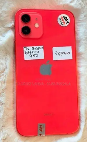 Apple iPhone 12 256GB (Used)