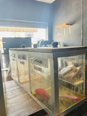 Chili Showcase Glass Boxes