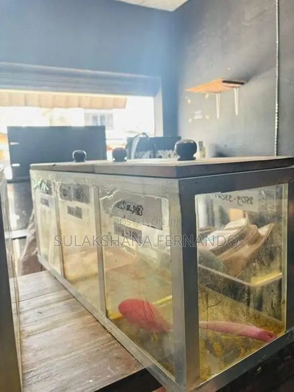 Chili Showcase Glass Boxes
