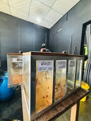 Chili Showcase Glass Boxes