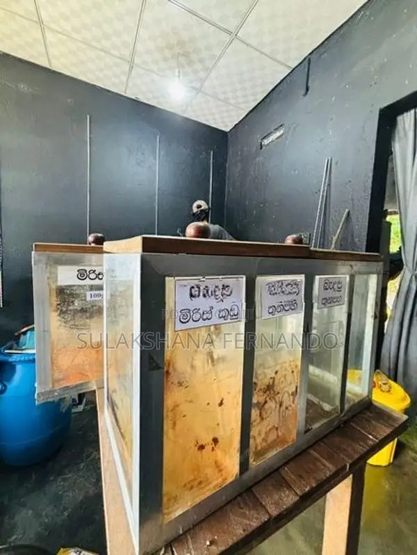 Chili Showcase Glass Boxes