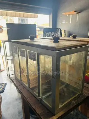 Chili Showcase Glass Boxes