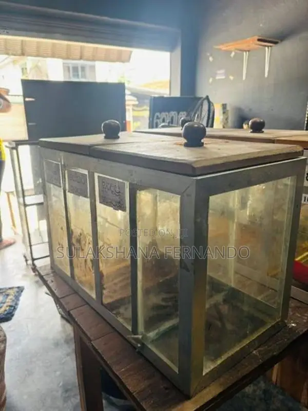 Chili Showcase Glass Boxes