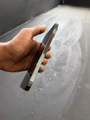 Apple iPhone 12 Pro Max (Used)
