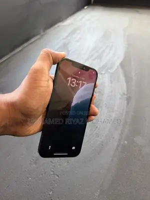 Apple iPhone 12 Pro Max (Used)