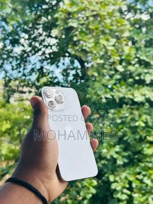 Apple iPhone 13 Pro (Used)