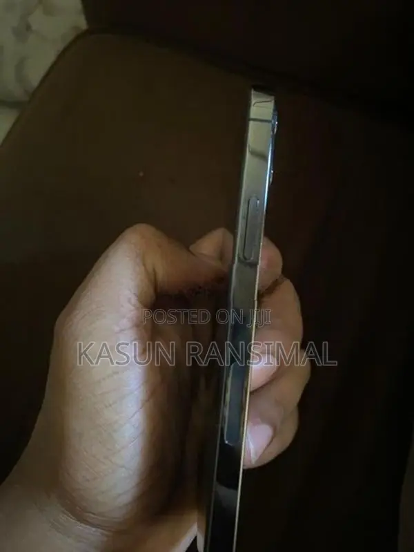 Apple iPhone 12 Pro Silver Ash (Used)