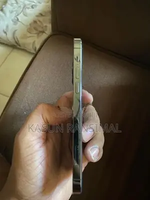 Apple iPhone 12 Pro Silver Ash (Used)