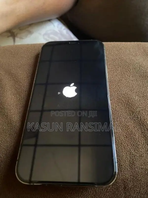 Apple iPhone 12 Pro Silver Ash (Used)
