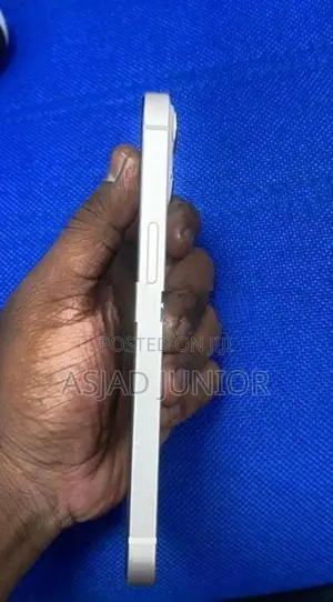 Apple iPhone 13 (Used)