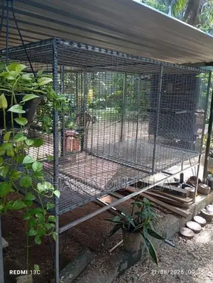 Bird Cage