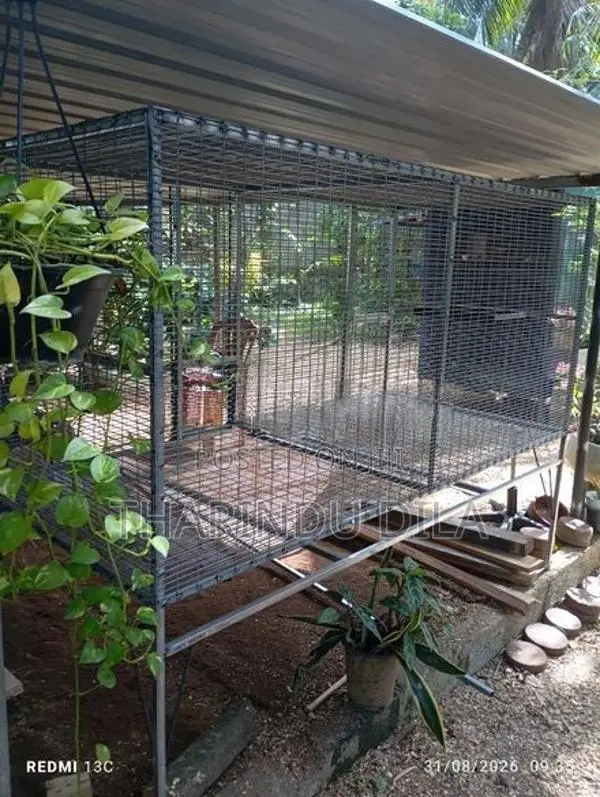 Bird Cage