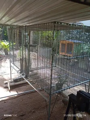 Bird Cage