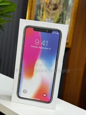 Apple iPhone X 256GB (Used)