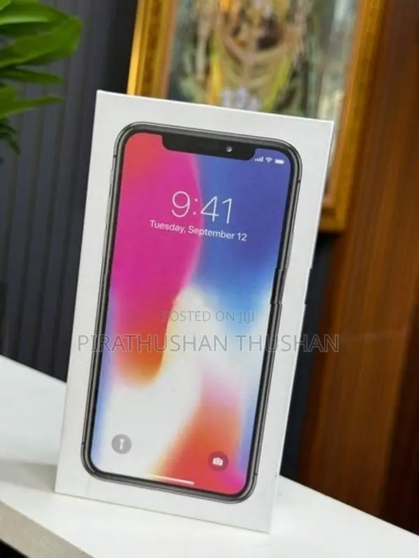 Apple iPhone X 256GB (Used)