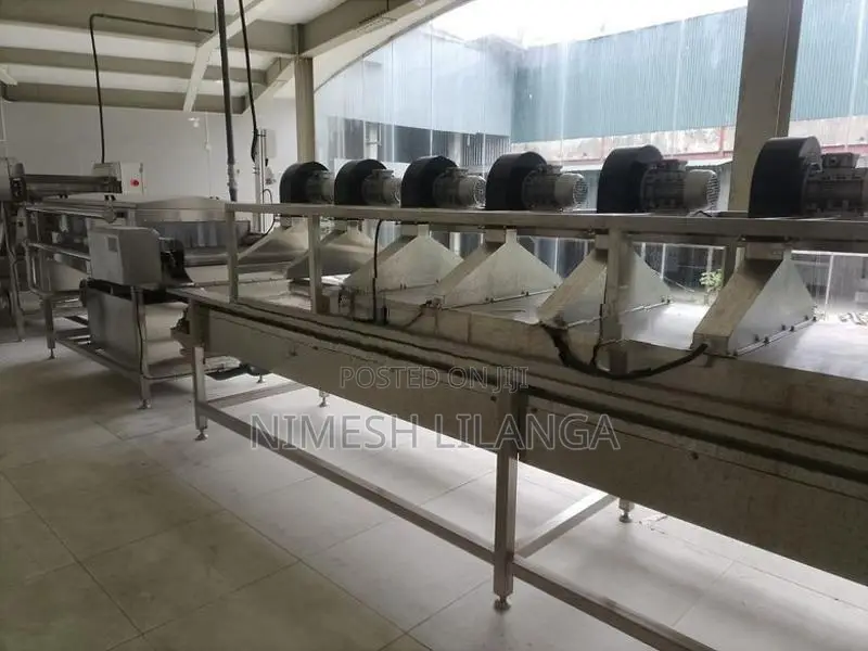 Fruit and Vegetables Washing Plant