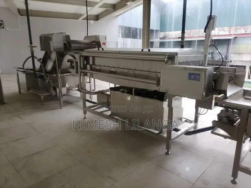 Fruit and Vegetables Washing Plant