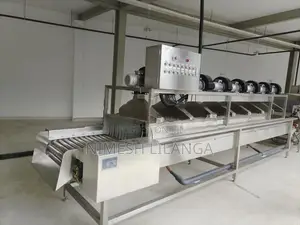 Fruit and Vegetables Washing Plant