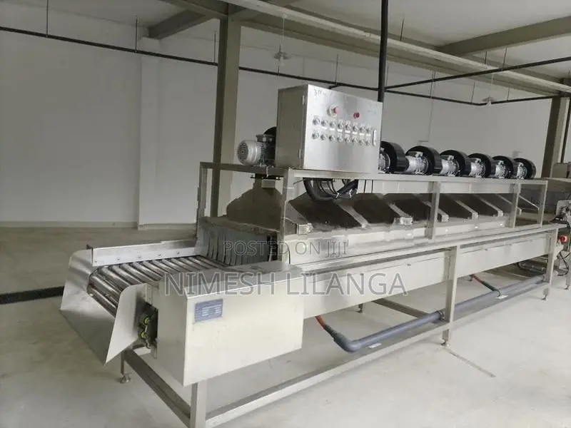 Fruit and Vegetables Washing Plant