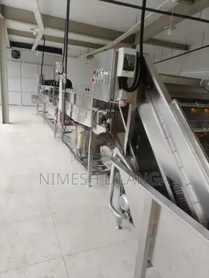 Fruit and Vegetables Washing Plant