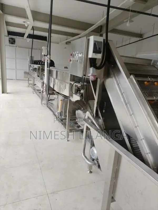 Fruit and Vegetables Washing Plant
