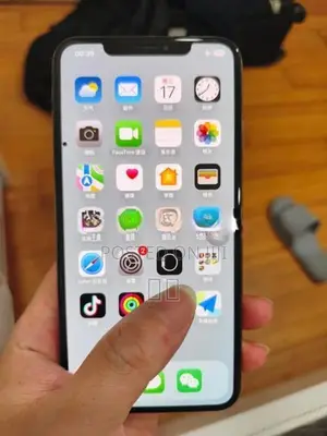 Apple iPhone XS Max 256GB (Used)