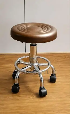 Adjustable Bar Stool